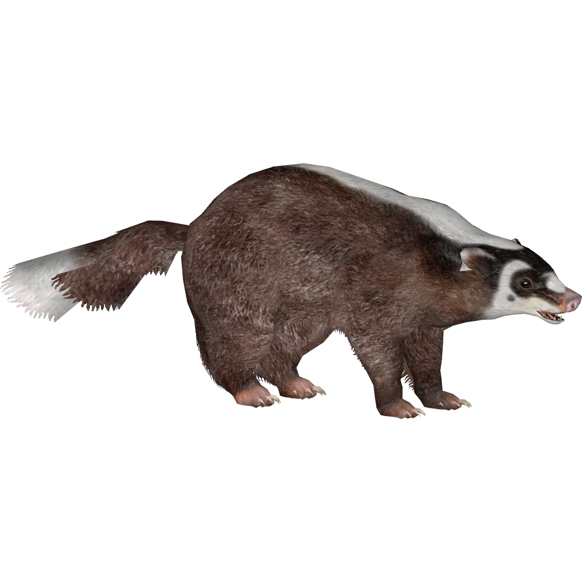 Badger pattern, seamless animal print, stylish PNG